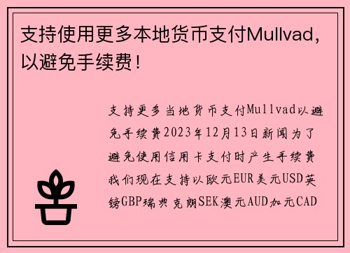 支持使用更多本地货币支付Mullvad，以避免手续费！